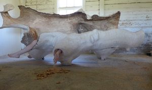 En urholkad trädstam utgör grunden för det här konstverket.