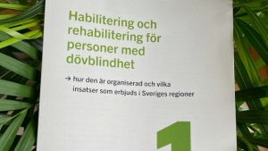 foto: framsida rapport, fond med gröna blad