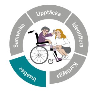 Vägledningshjulet med Insatser markerat. I mitten en bild på en person i rullstol som klappar på en kvinna som sitter framför. Illustration.