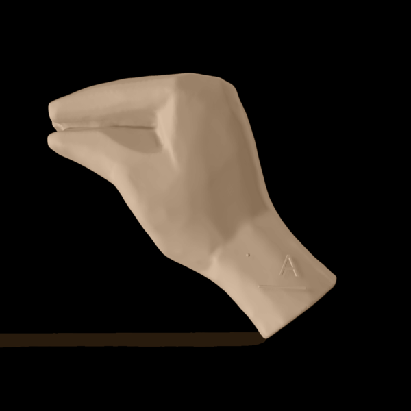 Bild av en 3D-hand som visar bokstaven A.