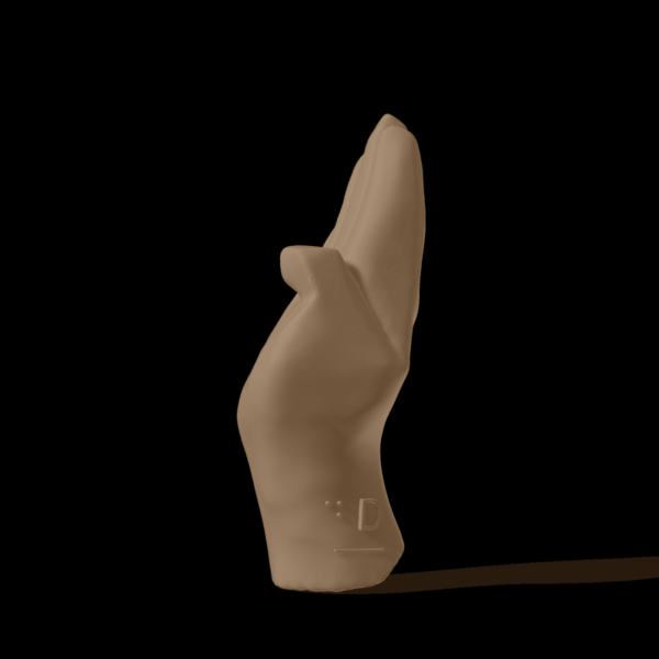 Bild av en 3D-hand som visar bokstaven D.