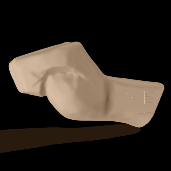 Bild av en 3D-hand som visar bokstaven E.