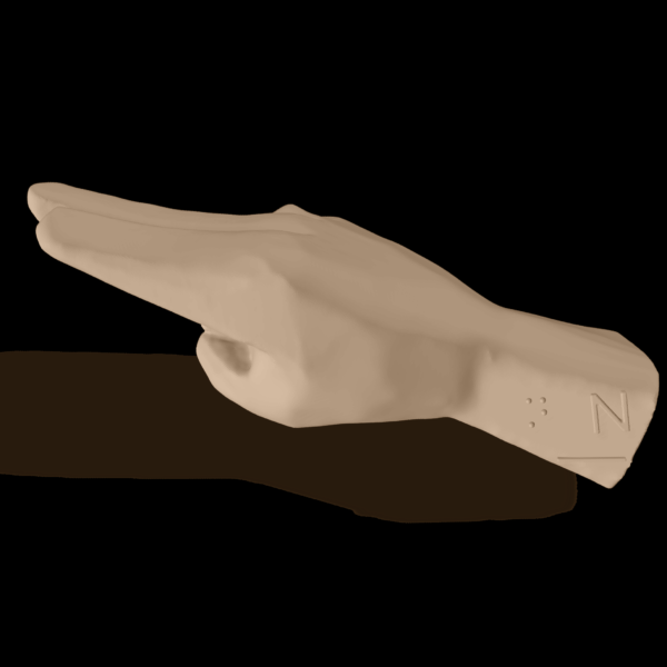 Bild av en 3D-hand som visar bokstaven N.