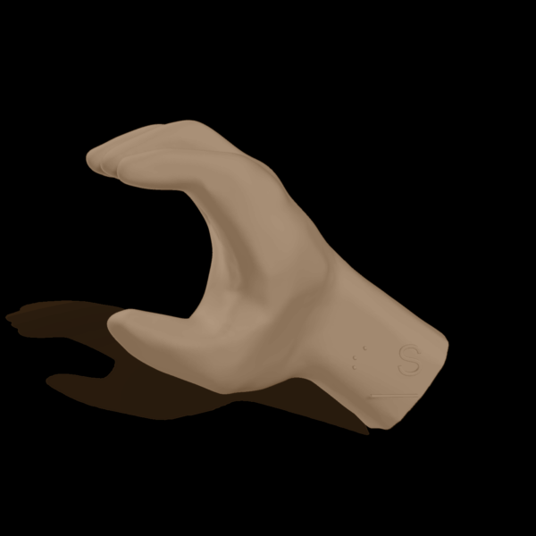 Bild av en 3D-hand som visar bokstaven S.